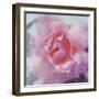 Elegant Bloom II-Malcolm Sanders-Framed Giclee Print