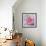 Elegant Bloom II-Malcolm Sanders-Framed Giclee Print displayed on a wall