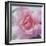 Elegant Bloom II-Malcolm Sanders-Framed Giclee Print