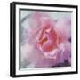 Elegant Bloom II-Malcolm Sanders-Framed Giclee Print