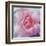 Elegant Bloom II-Malcolm Sanders-Framed Art Print