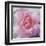 Elegant Bloom II-Malcolm Sanders-Framed Art Print