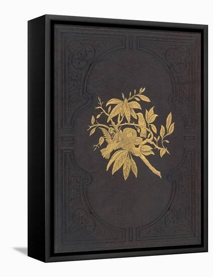 Elegant Book Cover-null-Framed Stretched Canvas