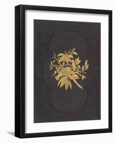 Elegant Book Cover-null-Framed Art Print