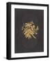 Elegant Book Cover-null-Framed Art Print