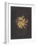 Elegant Book Cover-null-Framed Art Print