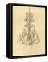 Elegant Chandelier I-Laurencon-Framed Stretched Canvas