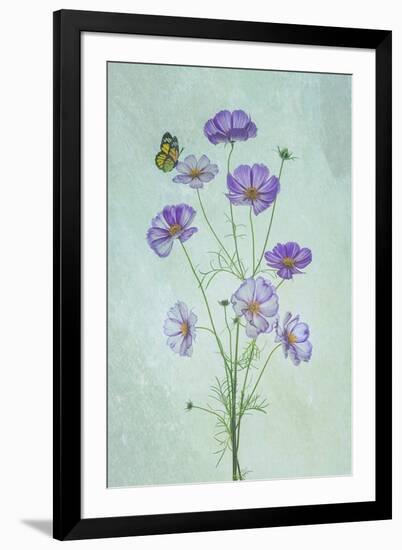 Elegant Cosmos Flowers-Lydia Jacobs-Framed Photographic Print