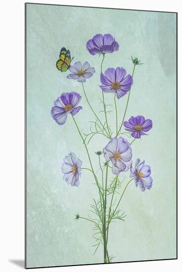 Elegant Cosmos Flowers-Lydia Jacobs-Mounted Photographic Print