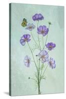 Elegant Cosmos Flowers-Lydia Jacobs-Stretched Canvas