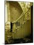 Elegant Curving Stairway Amid Rubble in Building under Demolition, in New York City-Walker Evans-Mounted Photographic Print