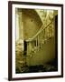 Elegant Curving Stairway Amid Rubble in Building under Demolition, in New York City-Walker Evans-Framed Photographic Print