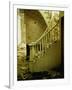 Elegant Curving Stairway Amid Rubble in Building under Demolition, in New York City-Walker Evans-Framed Photographic Print