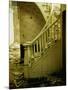 Elegant Curving Stairway Amid Rubble in Building under Demolition, in New York City-Walker Evans-Mounted Photographic Print