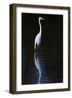 Elegant Egret II-David Drost-Framed Photographic Print