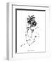 Elegant Fashion Study II-Ethan Harper-Framed Art Print