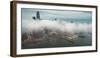 Elegant Fog Stream Downtown San Francisco-Vincent James-Framed Photographic Print