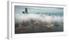 Elegant Fog Stream Downtown San Francisco-Vincent James-Framed Photographic Print