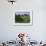 Elegant Horse Barn Atop Hill, Woodford County, Kentucky, USA-Dennis Flaherty-Framed Photographic Print displayed on a wall