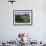 Elegant Horse Barn Atop Hill, Woodford County, Kentucky, USA-Dennis Flaherty-Framed Photographic Print displayed on a wall