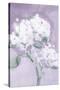 Elegant Hydrangea Purple-Katrina Pete-Stretched Canvas