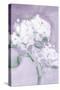 Elegant Hydrangea Purple-Katrina Pete-Stretched Canvas