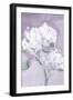 Elegant Hydrangea Purple-Katrina Pete-Framed Art Print