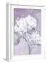 Elegant Hydrangea Purple-Katrina Pete-Framed Art Print