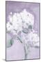 Elegant Hydrangea Purple-Katrina Pete-Mounted Art Print