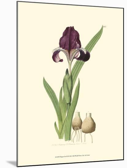 Elegant Iris III-Samuel Curtis-Mounted Art Print