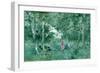 Elegant Ladies Picking Flowers in a Wood-Pompeo Mariani-Framed Giclee Print