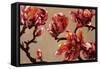 Elegant Magnolia-Joyce H. Kamikura-Framed Stretched Canvas