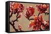 Elegant Magnolia-Joyce H. Kamikura-Framed Stretched Canvas