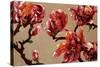 Elegant Magnolia-Joyce H. Kamikura-Stretched Canvas