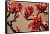 Elegant Magnolia-Joyce H. Kamikura-Framed Stretched Canvas