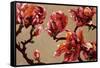 Elegant Magnolia-Joyce H. Kamikura-Framed Stretched Canvas