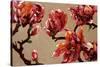 Elegant Magnolia-Joyce H. Kamikura-Stretched Canvas