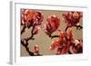 Elegant Magnolia-Joyce H. Kamikura-Framed Art Print