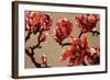 Elegant Magnolia-Joyce H. Kamikura-Framed Art Print