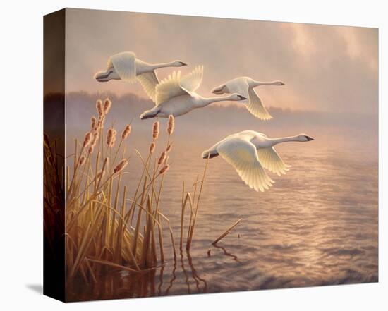 Elegant Migration-Greg Alexander-Stretched Canvas