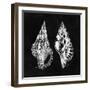 Elegant Negative I-N. Harbick-Framed Art Print