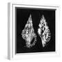 Elegant Negative I-N. Harbick-Framed Art Print