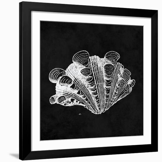 Elegant Negative III-N. Harbick-Framed Art Print