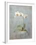 Elegant Orchid II-Danhui Nai-Framed Art Print