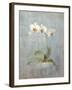 Elegant Orchid II-Danhui Nai-Framed Art Print