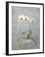 Elegant Orchid II-Danhui Nai-Framed Art Print