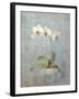 Elegant Orchid II-Danhui Nai-Framed Art Print