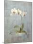 Elegant Orchid II-Danhui Nai-Mounted Art Print