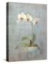 Elegant Orchid II-Danhui Nai-Stretched Canvas