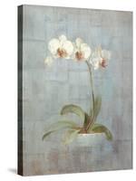 Elegant Orchid II-Danhui Nai-Stretched Canvas